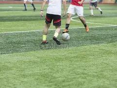 双色球盛宴,期必看选号,攻略,足彩网,足彩网首页,足彩推荐,竞彩足球信息,彩票开奖中心