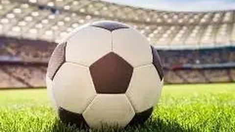 【狂风助力】双色球2025年第137期独家预测：一码定蓝，锁定神奇之蓝14！