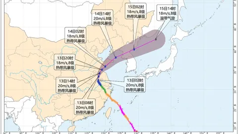 郭士强独门战术大：杨瀚森关键进球，胡明轩险些绝杀2026战术解析